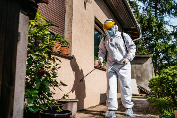 Professional Pest Control in Los Chaves, NM