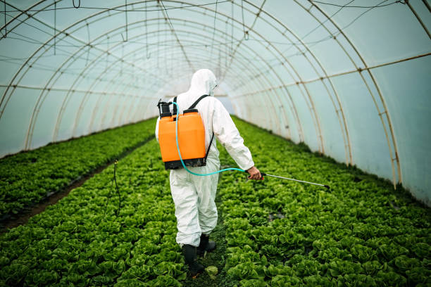 Best Local Pest Control Services  in Los Chaves, NM