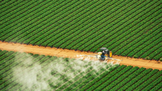 Best Commercial Pest Control Services  in Los Chaves, NM